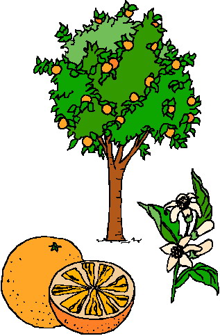 Trees clip art