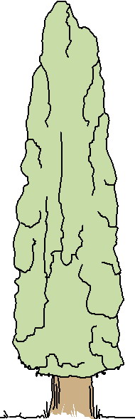 Trees clip art