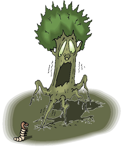Trees clip art