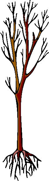 Trees clip art