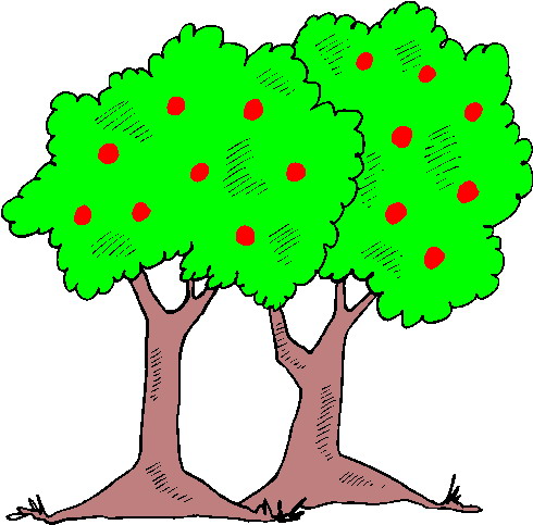 Trees clip art