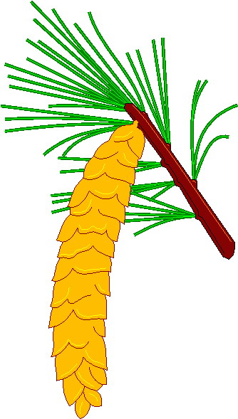 Trees clip art