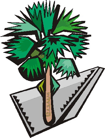 Trees clip art