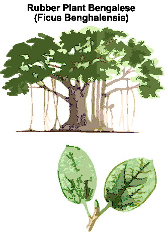 Trees clip art