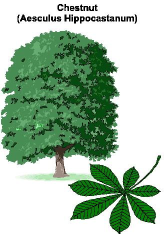 Trees clip art