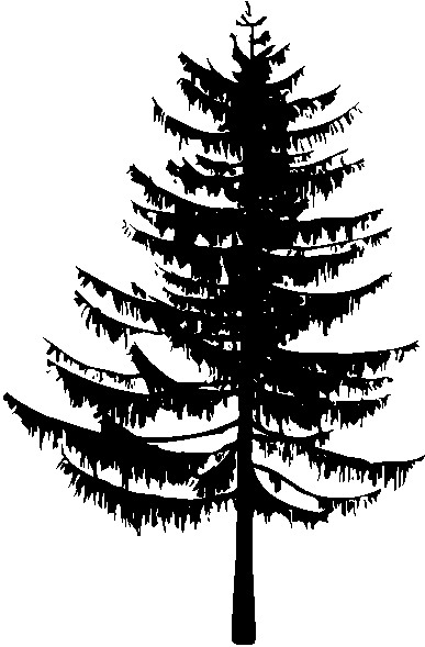 Trees clip art