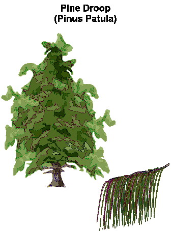 Trees clip art