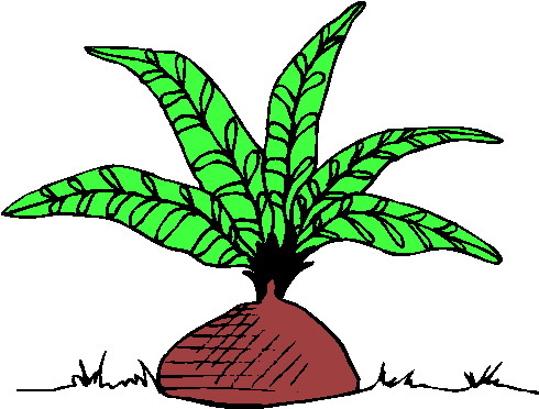 Trees clip art