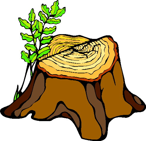 Trees clip art