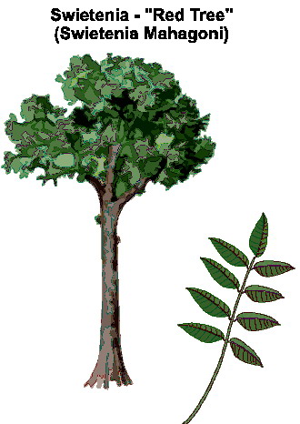 Trees clip art