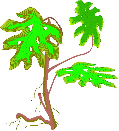 Trees clip art