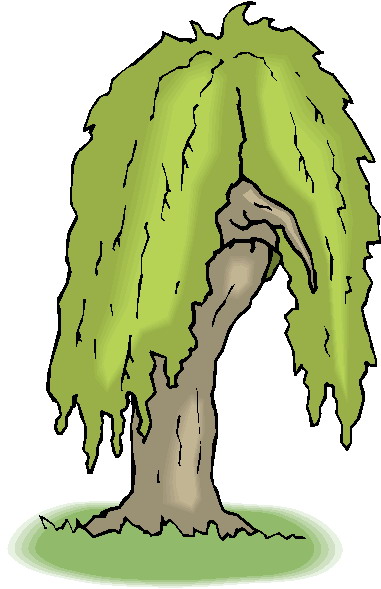 Trees clip art