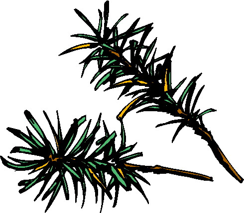 Trees clip art
