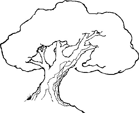 Trees clip art