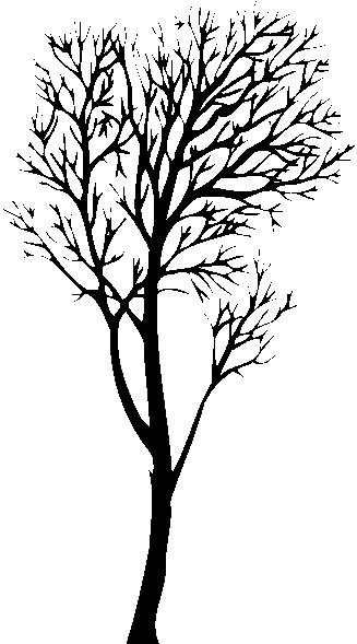 Trees clip art