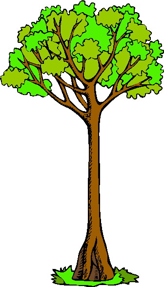 Trees clip art