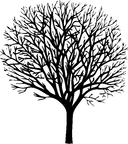 Trees clip art