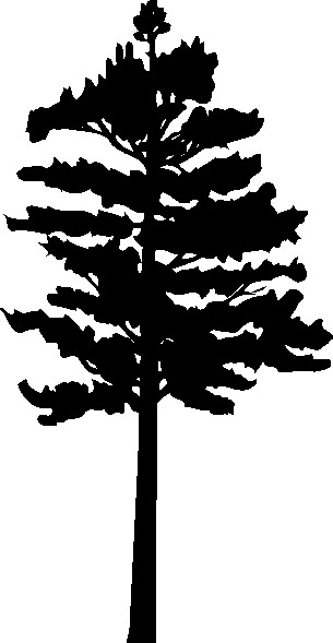 Trees clip art