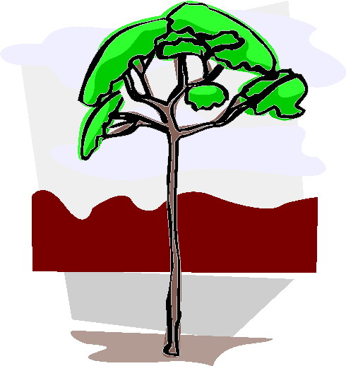 Trees clip art