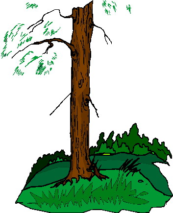 Trees clip art