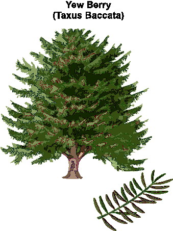 Trees clip art