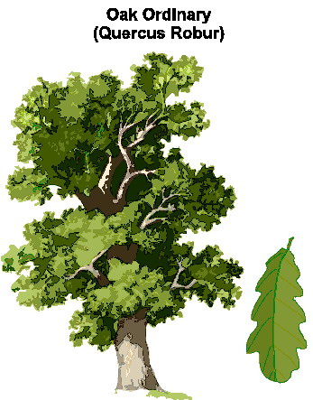 Trees clip art