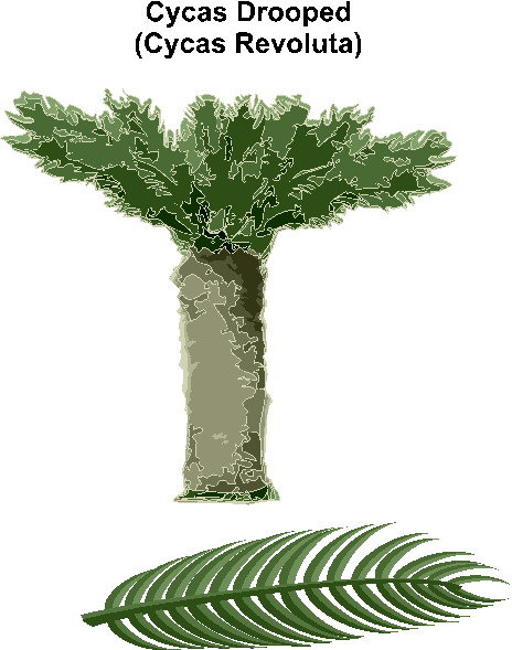 Trees clip art