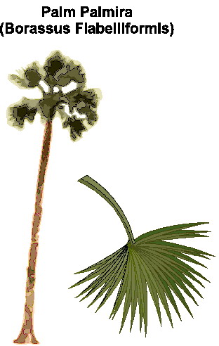 Trees clip art