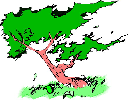 Trees clip art