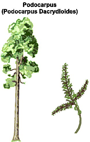 Trees clip art