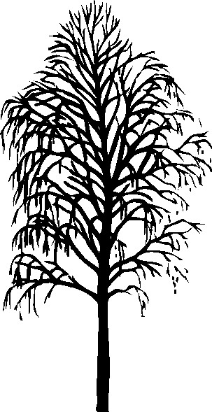 Trees clip art