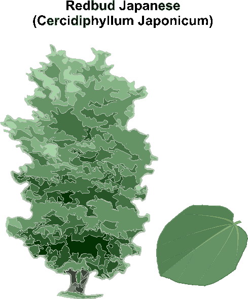 Trees clip art