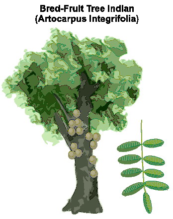 Trees clip art