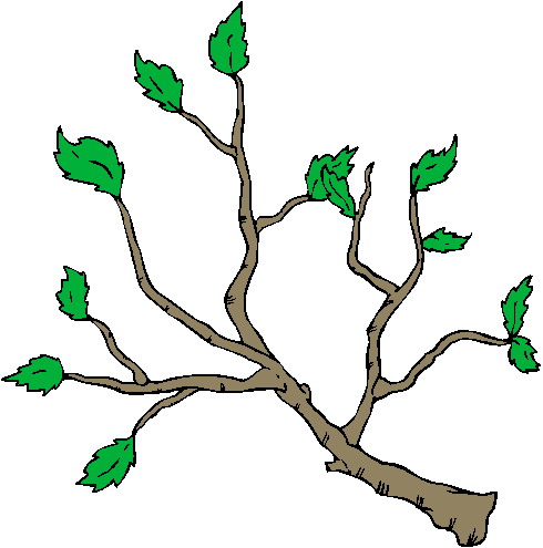 Trees clip art