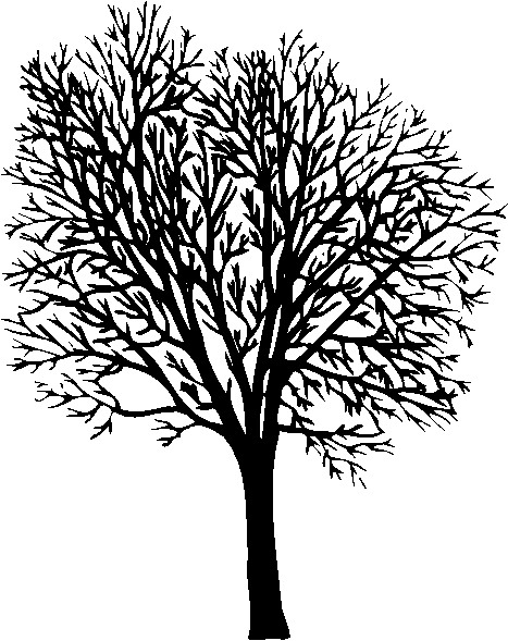 Trees clip art