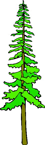 Trees clip art