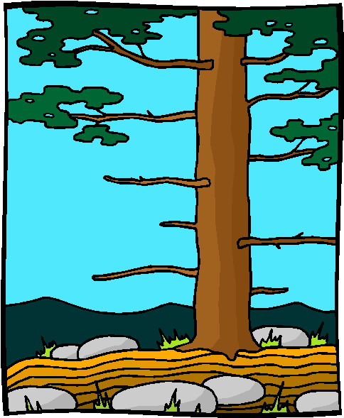 Trees clip art