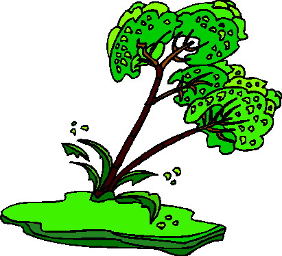 Trees clip art