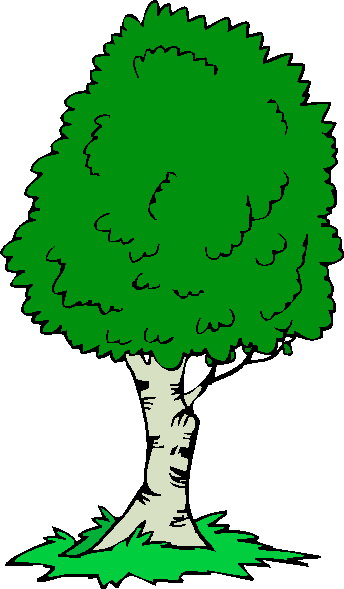 Trees clip art