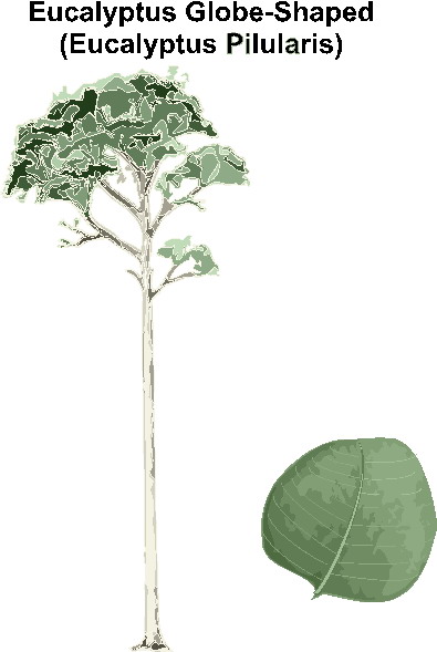 Trees clip art