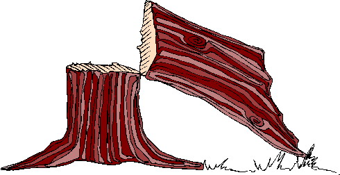 Trees clip art