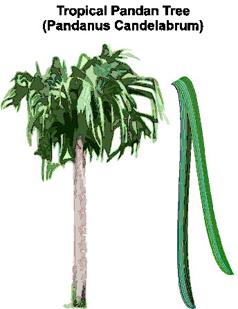 Trees clip art
