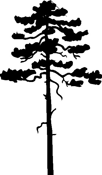 Trees clip art