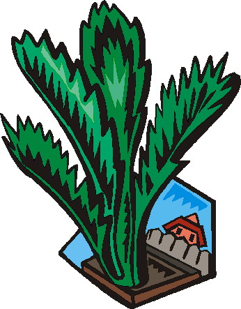 Trees clip art