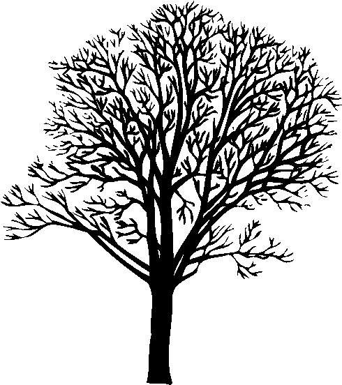 Trees clip art