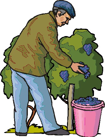 Trees clip art