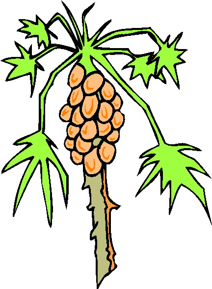 Trees clip art