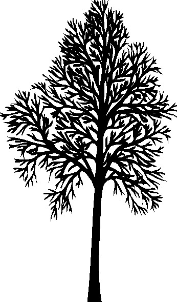 Trees clip art