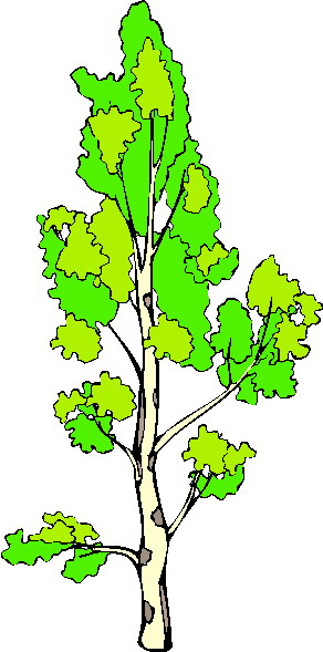 Trees clip art
