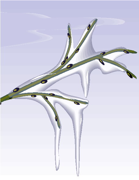Trees clip art